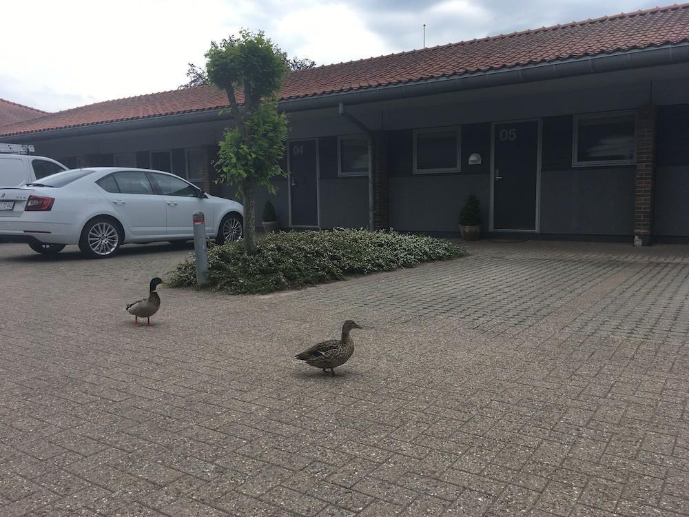Christiansminde Hotell Svendborg Eksteriør bilde